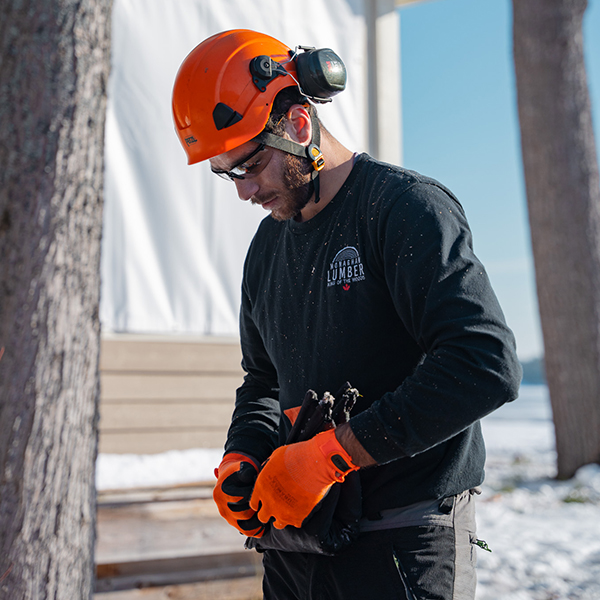 Arborist Kawartha Lakes ON