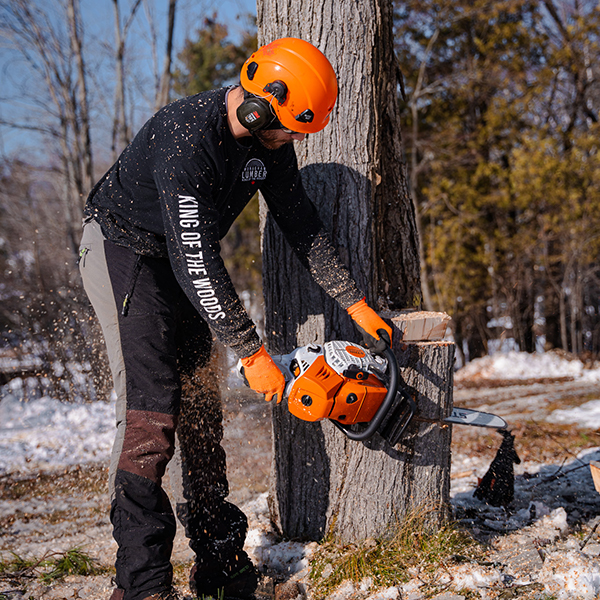 Tree Removals Kawartha Lakes ON
