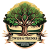 Twigs And Trunks Professional Tree Service