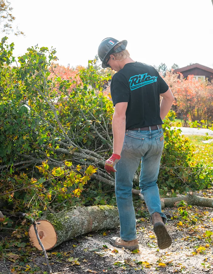 Line Clearing Service