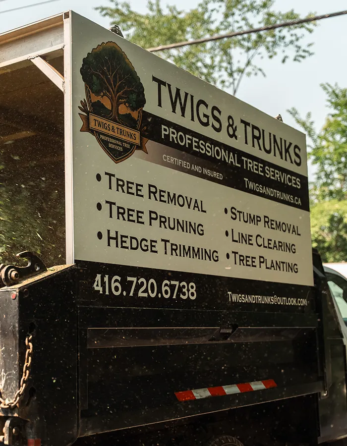 Tree Planting Kawartha Lakes