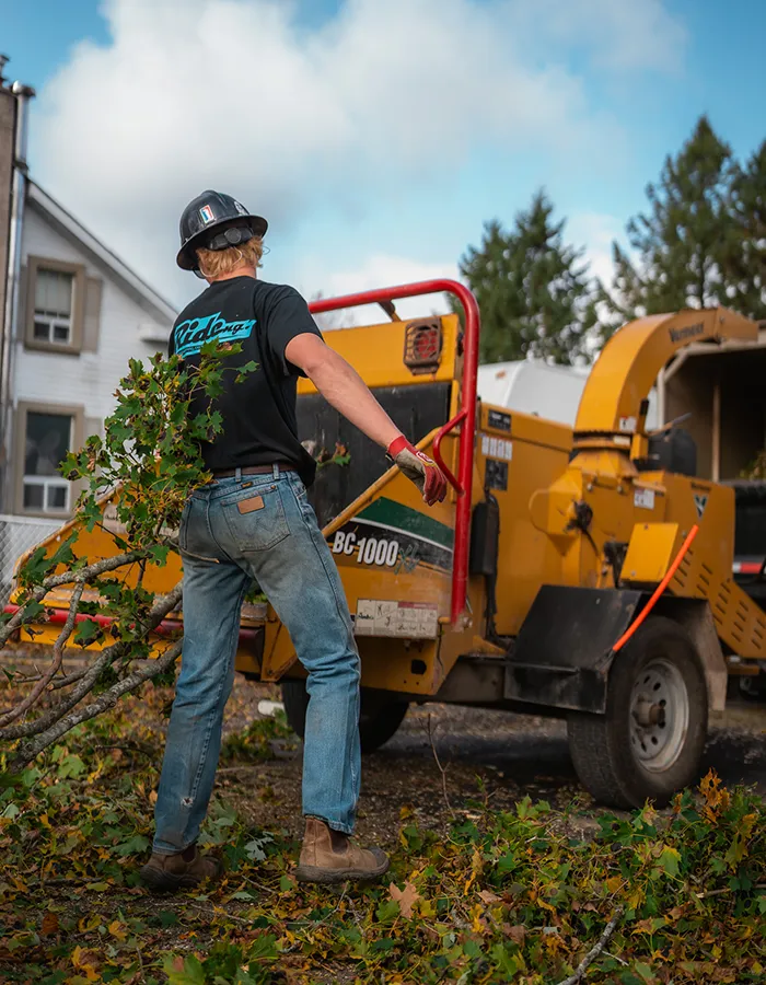 Tree Trimming Service