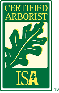 Certified Arborist