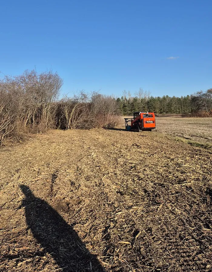 Forestry Mulching Service