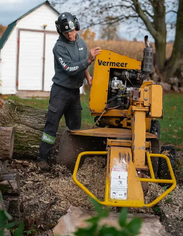 Stump Grinding Services